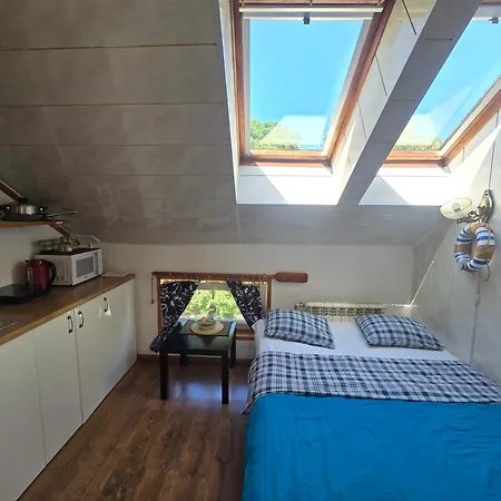 6b Meridian With Sauna Klaipeda