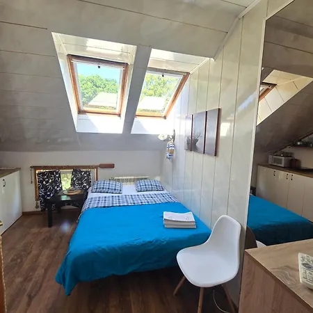 6b Meridian With Sauna Apartment Klaipeda