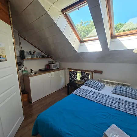 6b Meridian With Sauna Apartment Klaipeda
