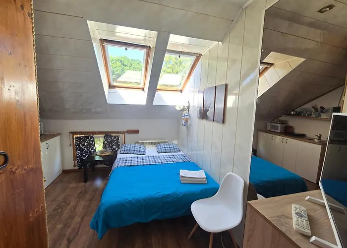 6b Meridian With Sauna Daire Klaipėda